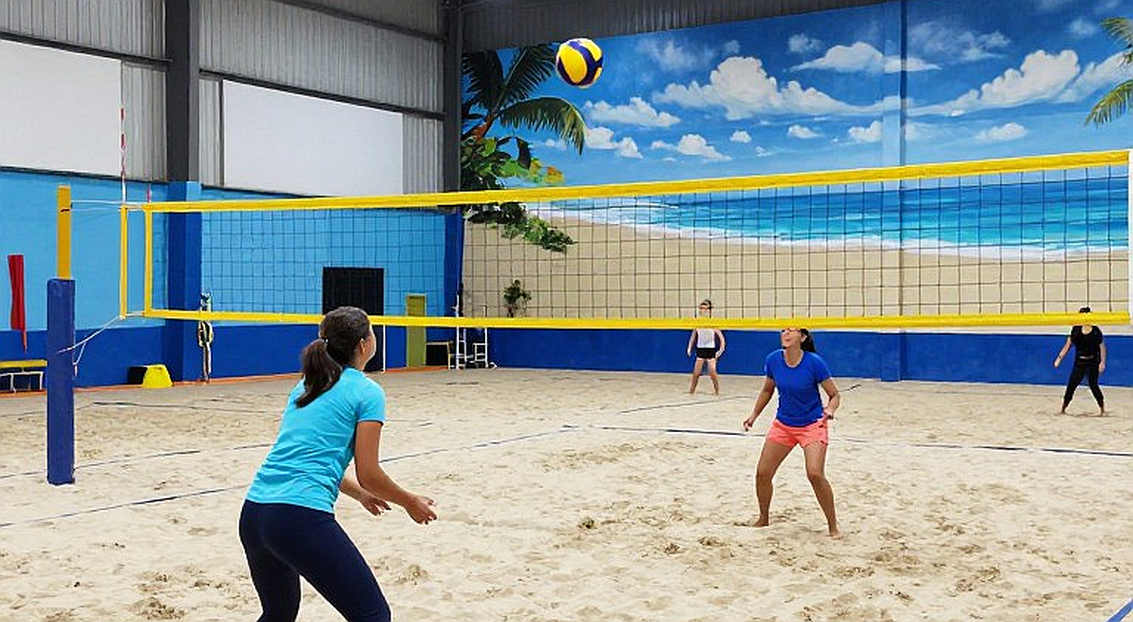 Position 3 Carrying the Scoring, Position 4 Getting Stuffed: Decoding Vietnam Women's Volleyball Down Season Position 3 Carrying the Scoring, Position 4 Getting Stuffed: Decoding Vietnam Women's Volleyball Down Season