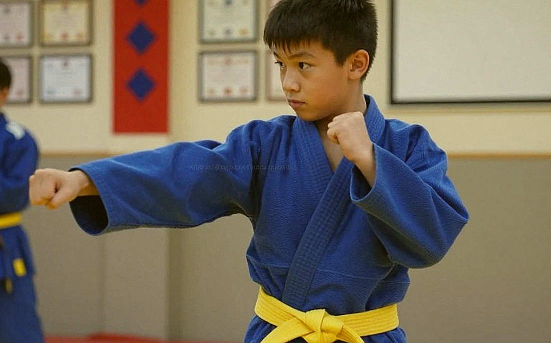 Những ô trống trong hồ sơ võ sĩ Việt Nam