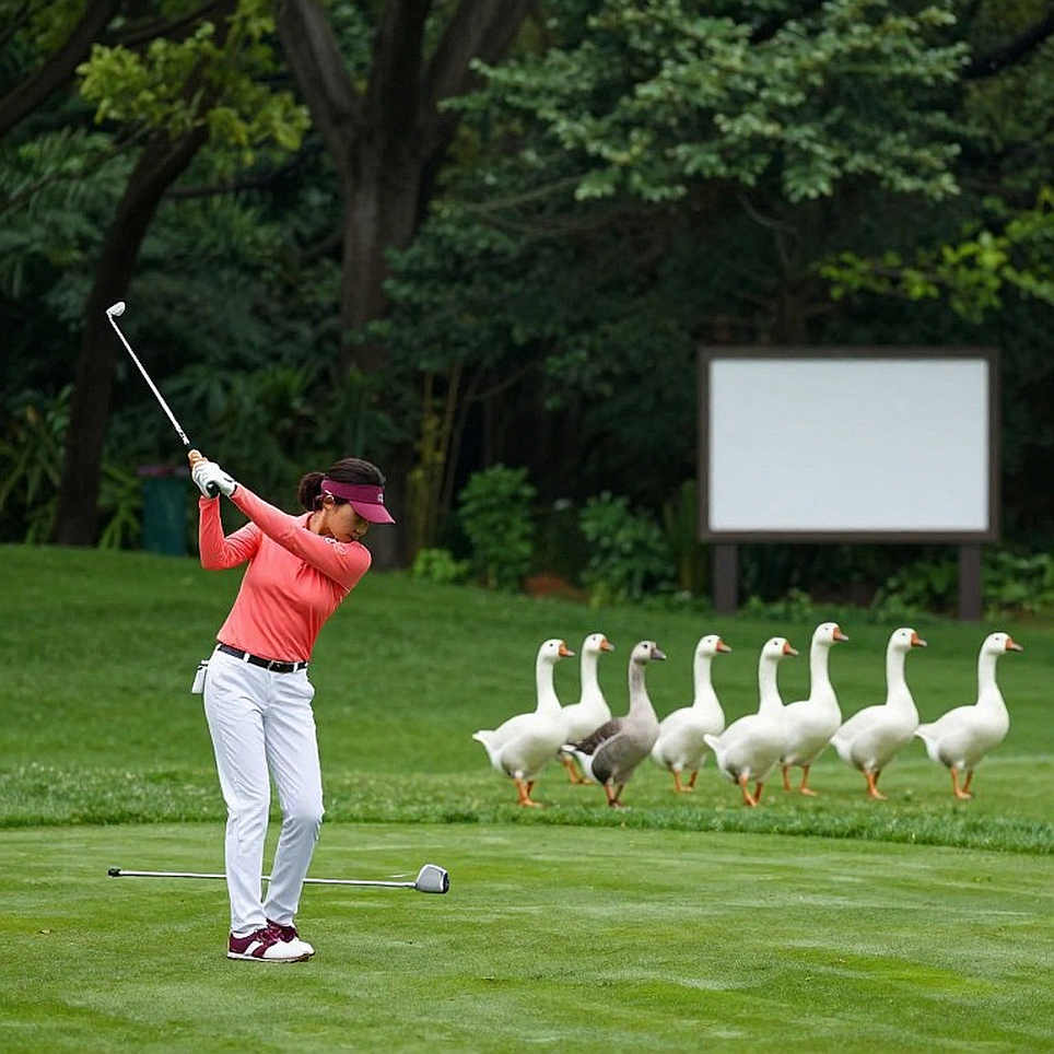 Wentworth and 9,000 Points: McIlroy, a 230-Yard 4-Iron, and the Solo-Second Equation Wentworth and 9,000 Points: McIlroy, a 230-Yard 4-Iron, and the Solo-Second Equation