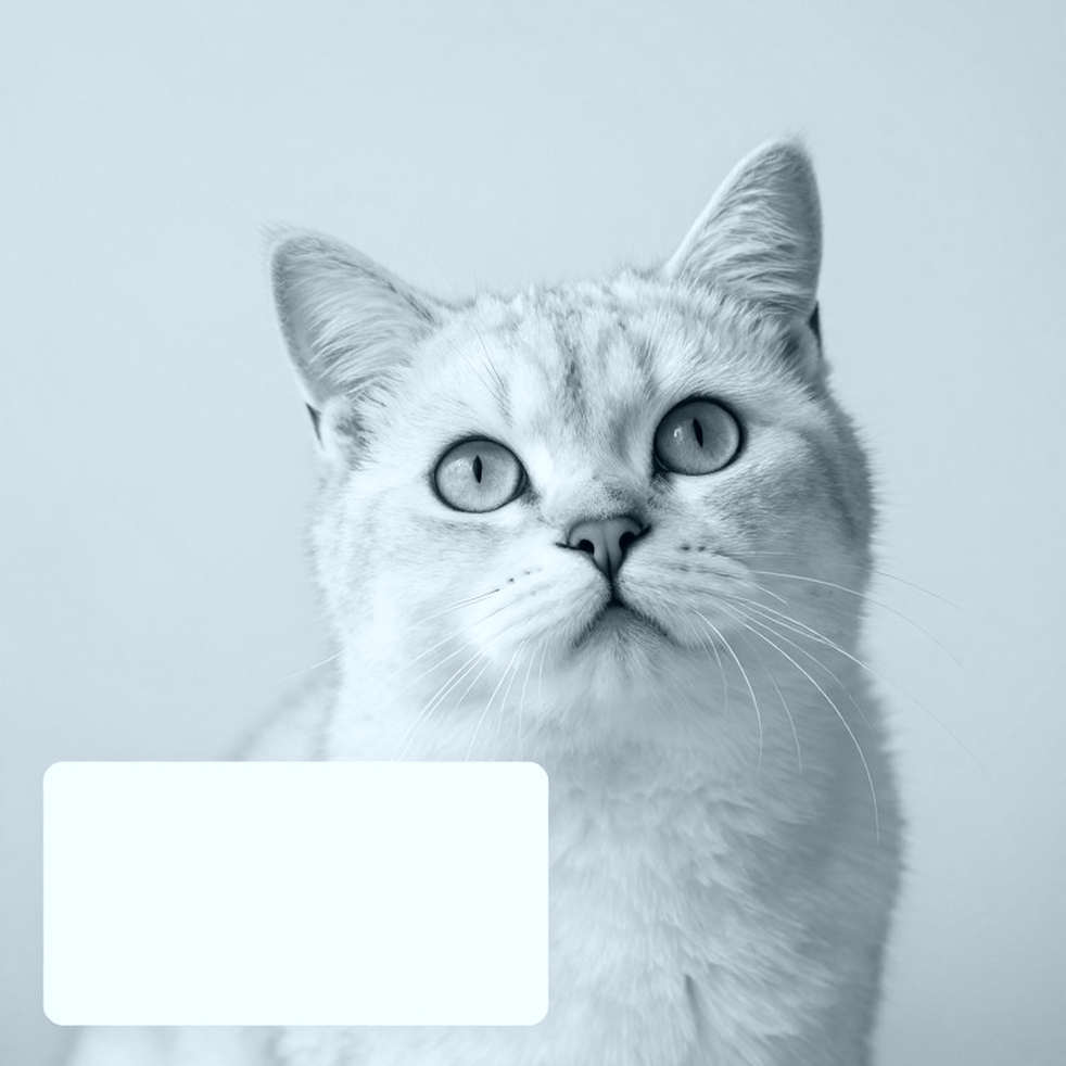 Forty Empty Data Cells in the Transfer Market: An Evidence Filter Built by a Man with a Spreadsheet Forty Empty Data Cells in the Transfer Market: An Evidence Filter Built by a Man with a Spreadsheet